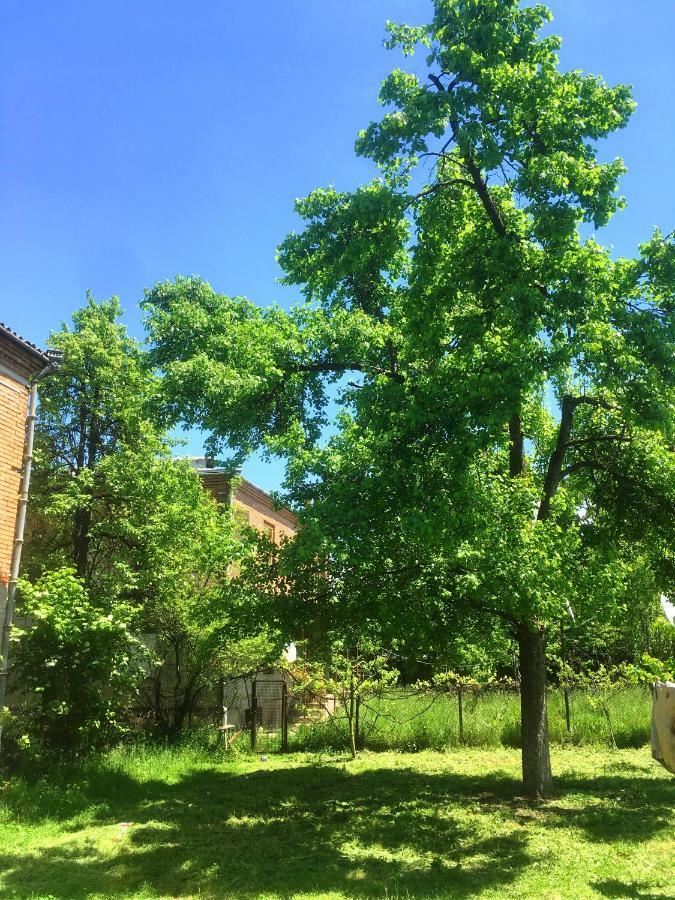 安布罗劳里 Ambrosador旅馆 外观 照片
